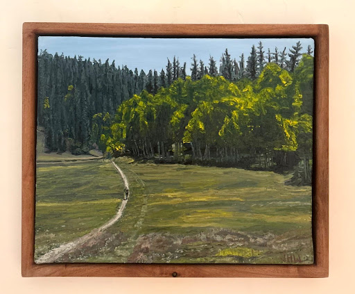 Runner on the Arizona Trail