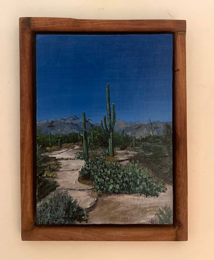 Sabino Canyon Saguaros
